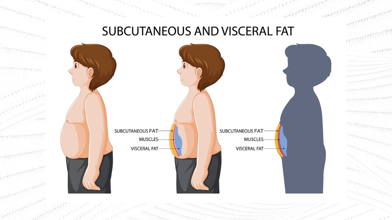 Reducing Visceral Fat: A Guide to a Healthier You